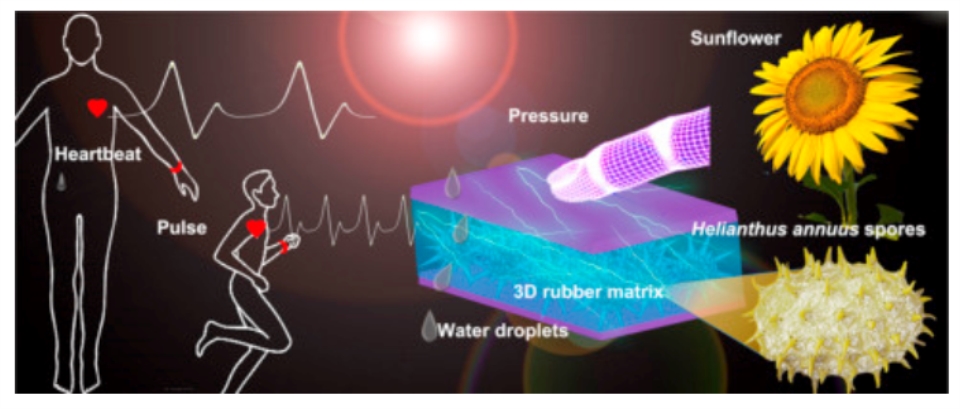 圖片12_副本.jpg 圖片12_副本.jpg