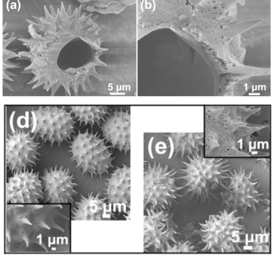 圖片15_副本.jpg 圖片15_副本.jpg