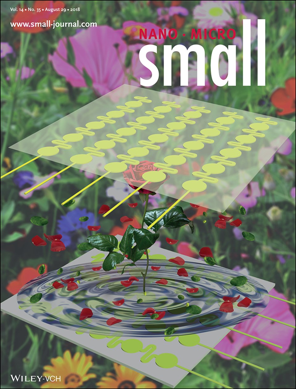 圖片16_副本.jpg 圖片(piàn)16_副本.jpg