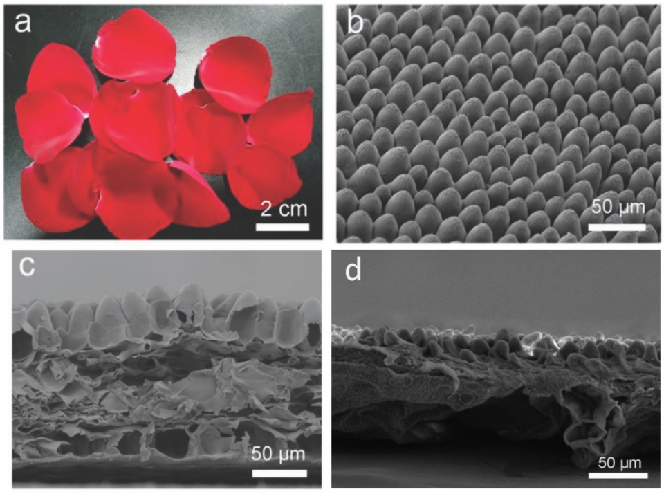 圖片17_副本.jpg 圖(tú)片17_副本.jpg