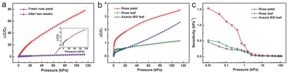 圖片18_副本.jpg 圖(tú)片18_副本.jpg