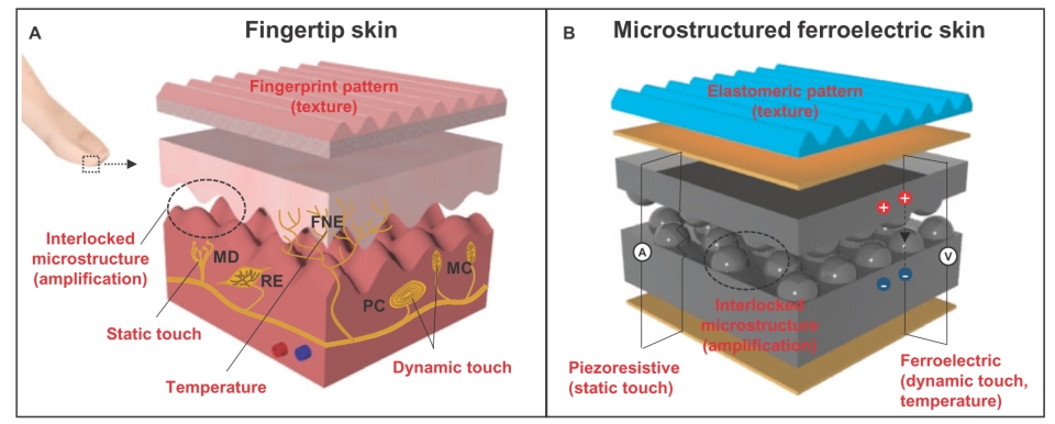 圖片21_副本.jpg 圖片21_副本.jpg