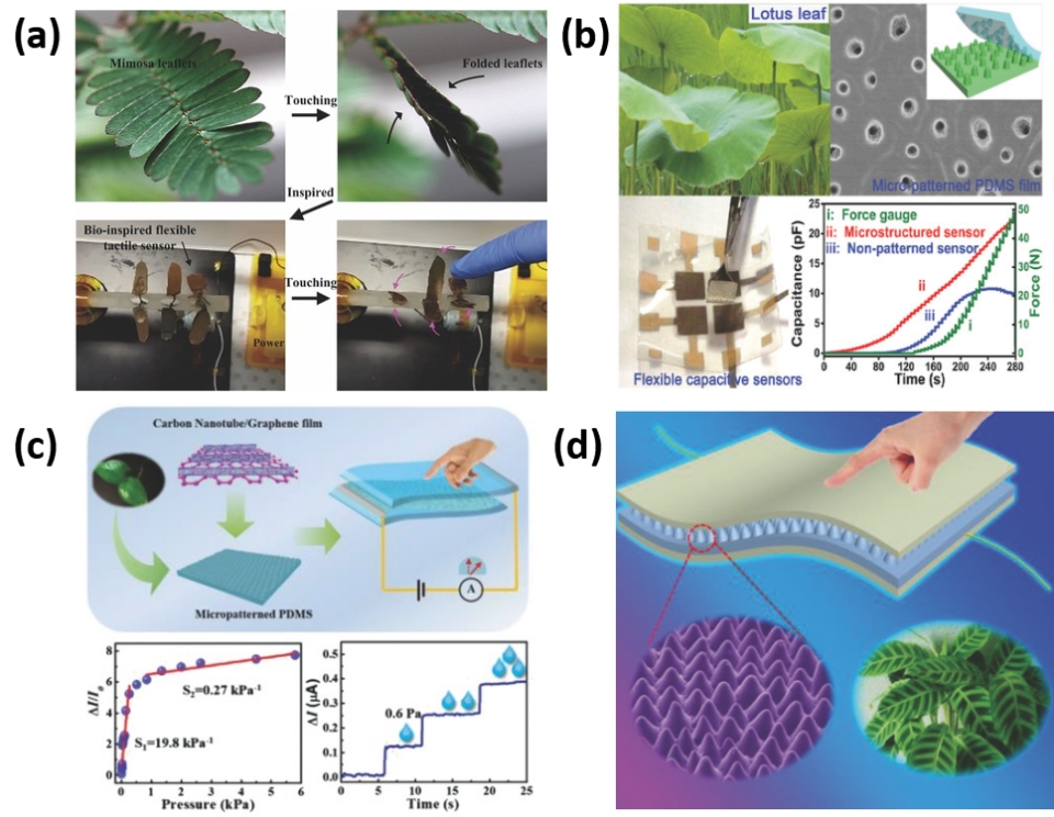 圖片22_副本(běn).jpg 圖(tú)片22_副本.jpg