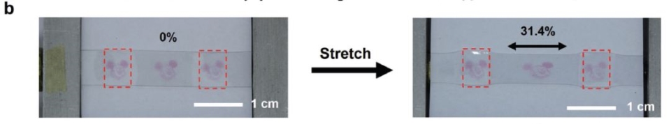 微信圖片_20181126111039_副本.jpg 微信圖片_20181126111039_副本.jpg